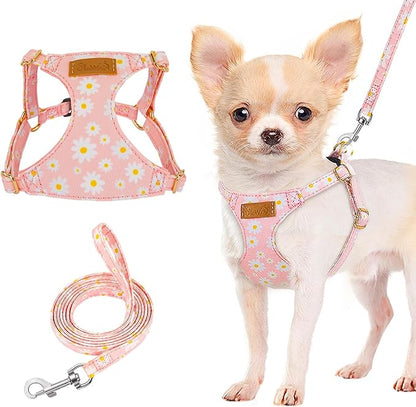 Lukovee Puppy Harness and Leash Set, No Pull Lightweight Soft Suede Adjustable Pet Harness Vest with Snap Buckle for Puppy Small and Medium Size Dog (PI-M)