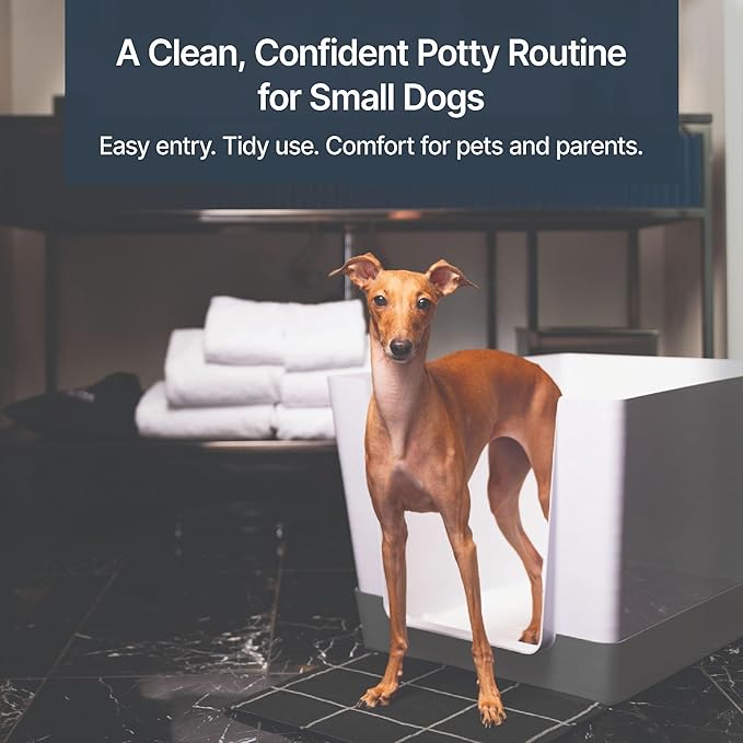 Indoor Dog Potty with High Walls and Low Entry for Small Dogs — Vertical Pad Holder, Splash Guard, and Clean Modern Design by DoggyBathroom (Mini, Dark Grey)