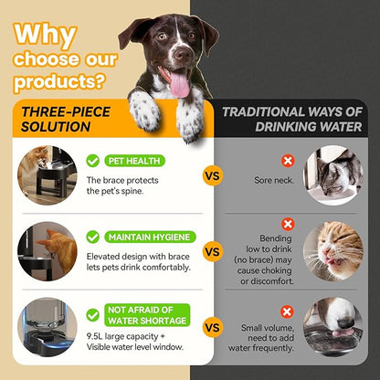 CZPET Elevated Dog Water Bowl Dispenser for Large Dogs,2.5 Gallon Tall Raised Pet Waterer Stand,Relieve Neck Pressure,Large Capacity and Drinking Area Noise-Free for Pets (9.5L+Stand,Black)
