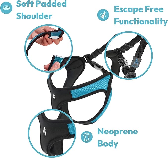 Gooby Escape Free Easy Fit Harness - Hot Pink, Large - No Pull Step-in Patented Small Dog Harness with Quick Release Buckle - Perfect On The Go No Pull Harness for Small Dogs or Medium Dog Harness