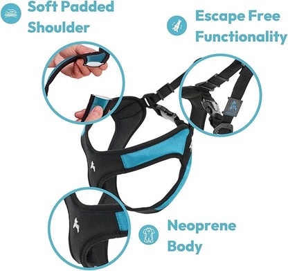Gooby Escape Free Easy Fit Harness - Black, Medium - No Pull Step-in Patented Small Dog Harness with Quick Release Buckle - Perfect On the Go No Pull Harness for Small Dogs or Medium Dog Harness