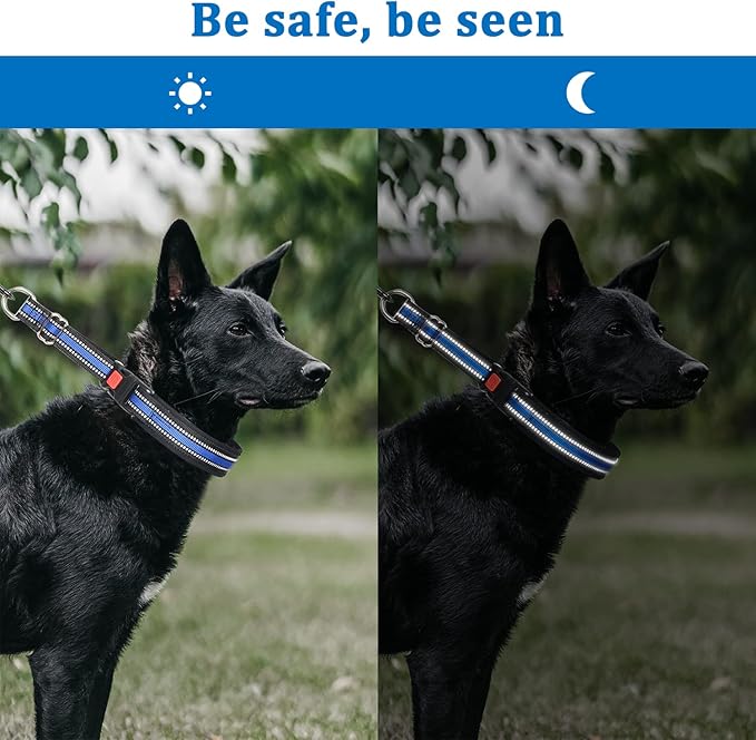 Mayerzon Martingale Collar for Dogs, No Pull Dog Collar with Reflective Strip for Small Medium Large Dogs, Anti Pulling Dog Collar with Buckle for Walking Training, Safe for Night Walk(Black, M)