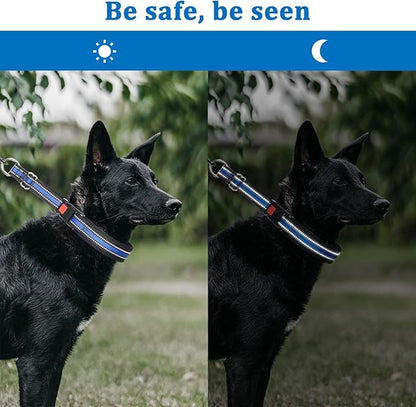 Mayerzon Martingale Collar for Dogs, No Pull Dog Collar with Reflective Strip for Small Medium Large Dogs, Anti Pulling Dog Collar with Buckle for Walking Training, Safe for Night Walk(Blue, M)
