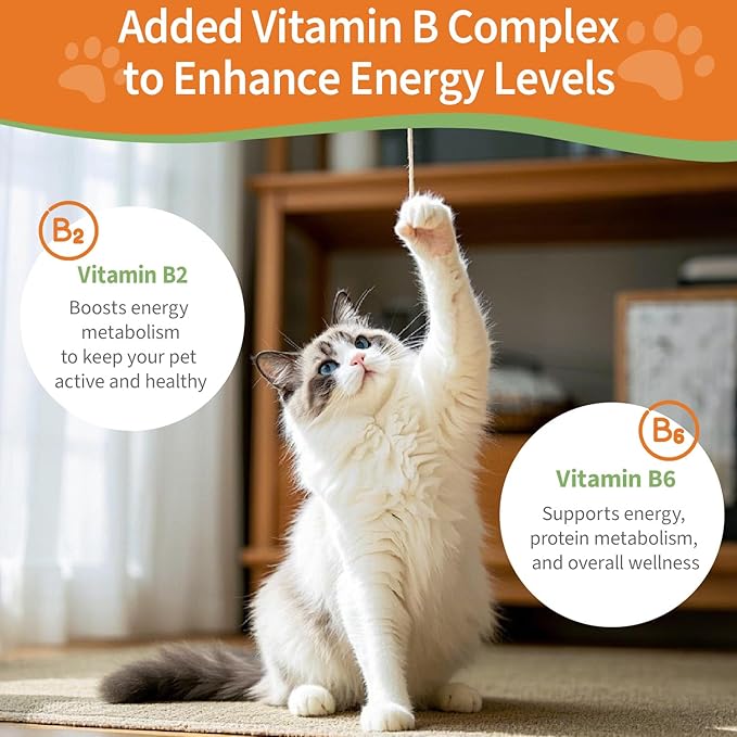 6-in-1 Kidney Support for Cats & Dogs – Promotes Healthy Kidney Function, Energy Levels & Fluid Balance – Veterinarian Formulated Herbal Supplement with Vitamin B2 & B6 – 2 fl oz (59 ml)
