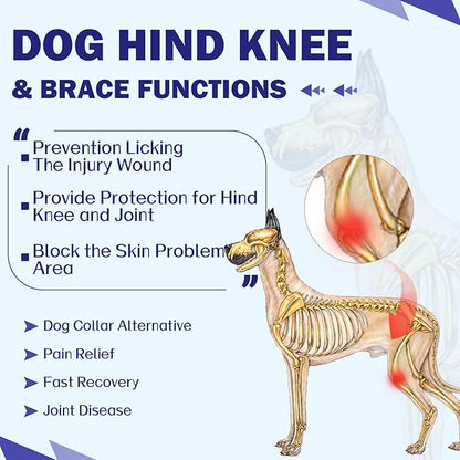 ROZKITCH Dog Rear Leg Surgery for Right Left Leg, Pet Prevent Licking Wound Elbow Protector, Dog Rear Leg Sleeve for Sprain ACL CCL Arthritis Joint Care Blue XS