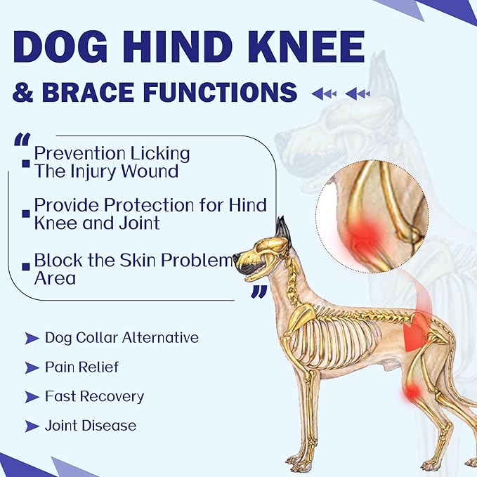 ROZKITCH Dog Body Suit Open Male Rear for Right Left Leg, Pet Prevent Licking Wound Elbow Protector, Dog Recovery Suit Cone Collar Alternative for Sprain ACL CCL Arthritis Joint Care Blue 2XL