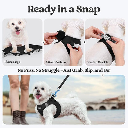 rabbitgoo Dog Harness Small Sized and Leash Set, Step in Soft Light Puppy Vest, Breathable Mesh Pet Harness, Reflective for Safe Easy Walking, Black XXS