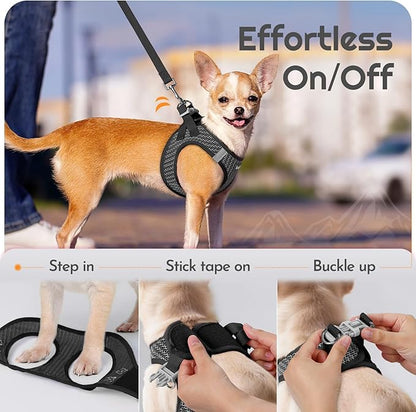 Eagloo Small Dog Harness and Leash Set, Step in Puppy Vest with Breathable Soft Mesh, Walking Reflective Pet Harness for Extra Small Dogs, Gray, XXS