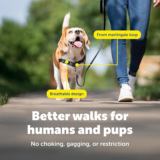 PetSafe Easy Walk Harness for Dogs - Pull-Free Walks - Patented Martingale Loop Design - Front Chest Leash Attachment - Comfort Straps - Breathable Harness Design - Small/Medium, Deep Purple/Black
