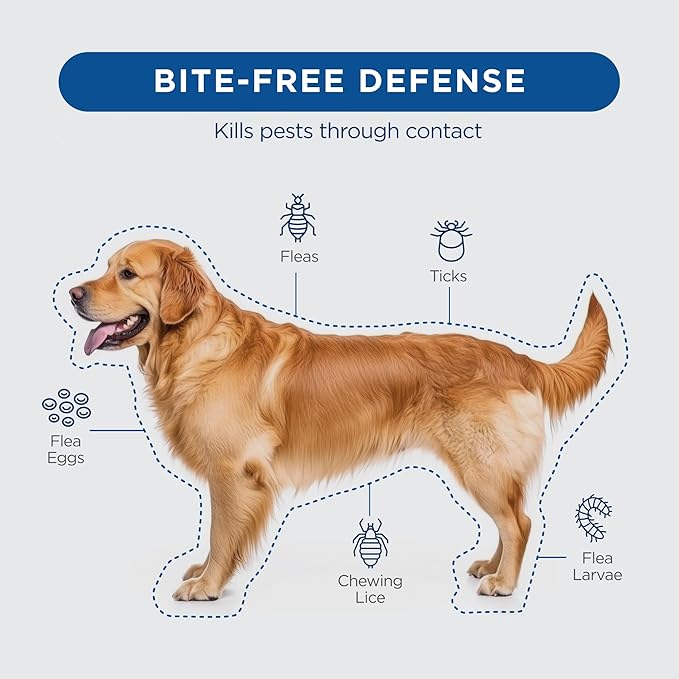 FirstAct Plus Flea Treatment for Dogs, Medium Dogs 23-44 lbs, 6 Doses, Same Active Ingredients as Frontline Plus Flea and Tick Prevention for Dogs