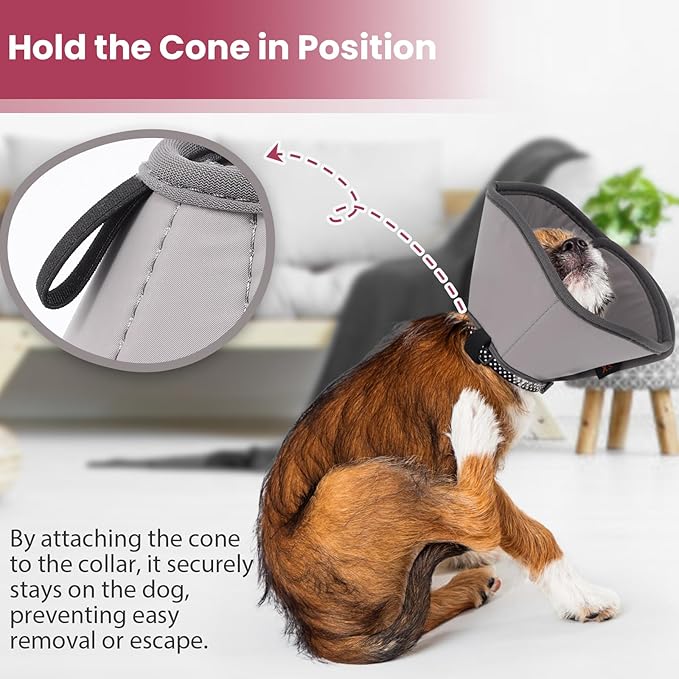 BARKLESS Dog Cones for Medium Dogs, Soft Cones for Dogs After Surgery to Stop Licking, Adjustable Elizabethan Collar, Neuter Cone of Shame Alternatives, Lightweight Dog Recovery Collar (Grey, M)