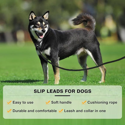 Lynxking Dog Leash Slip Lead Reflective Breathable Rope Comfortable Strong No Pull Slip On Pet Training Lead for Dogs (Pack of 2)
