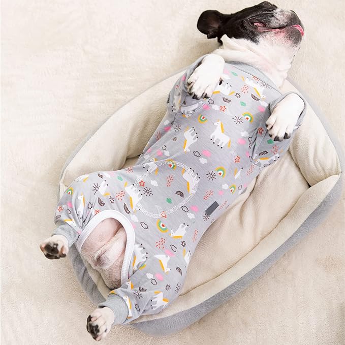 Surgery Recovery Suit for Small Dogs, Onesie for Surgery Female Dogs, Small Dogs Pajamas Long Sleeve, Abdominal Wound Bandages Surgical Suit, Dog Cat Recovery Suit for Shedding Skin Disease