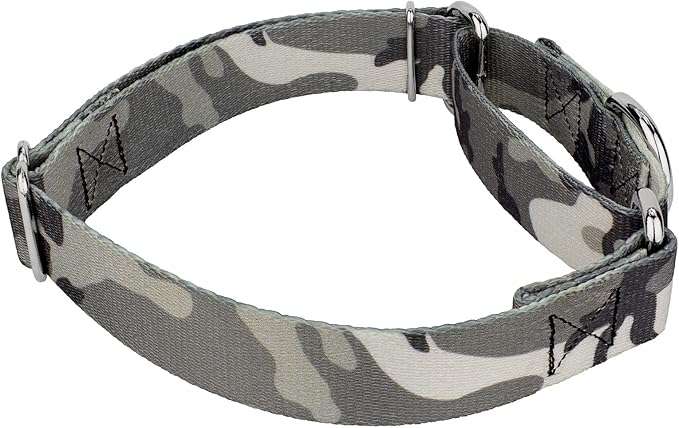 Country Brook Petz - Urban Camo Martingale Dog Collar and Leash - Camouflage Collection Featuring Rugged Designs (1 Inch, Extra Large)