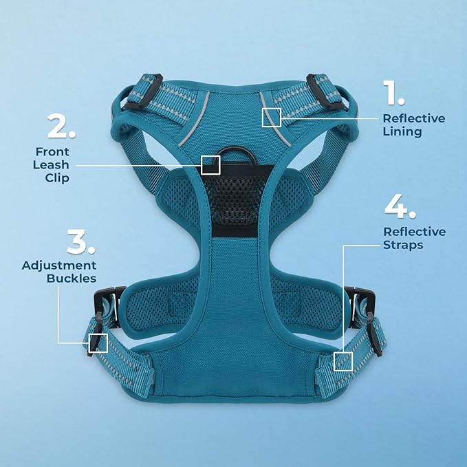 Voyager Dog Harness Dual Leash Attachment No-Pull Control Adjustable Soft but Strong Pet Harness for Medium and Large Dogs with 3M Reflective Technology, Leash Set Turquoise Nylon, XS (Chest: 13-16")