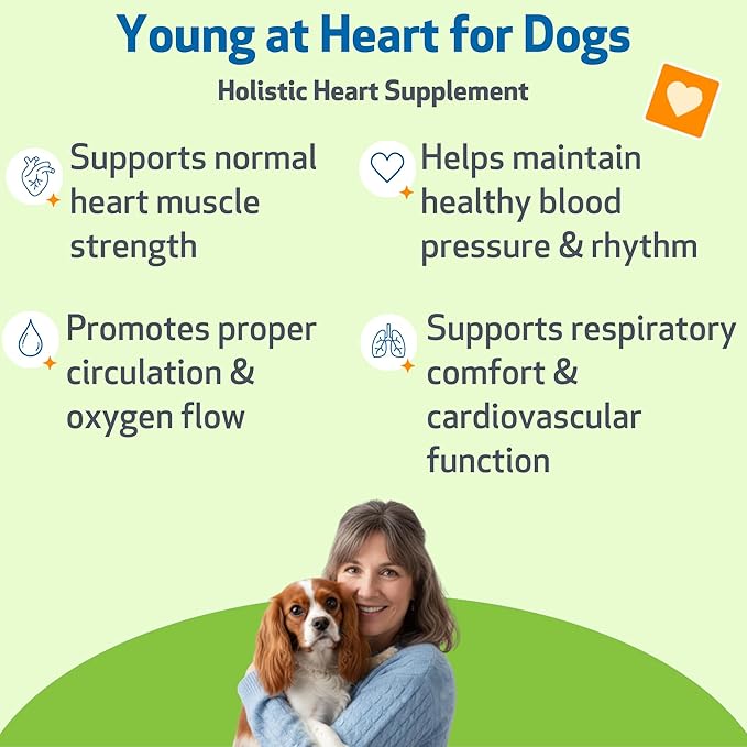 Pet Wellbeing Young at Heart for Dogs - Senior Heart Health Support, Cardiovascular Wellness with Hawthorn & Motherwort - NASC Certified & Vet-Formulated - 4 oz Liquid Formula