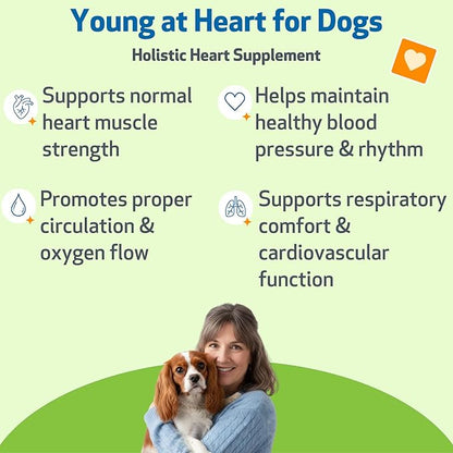 Pet Wellbeing Young at Heart for Dogs - Senior Heart Health Support, Cardiovascular Wellness with Hawthorn & Motherwort - NASC Certified & Vet-Formulated - 4 oz Liquid Formula