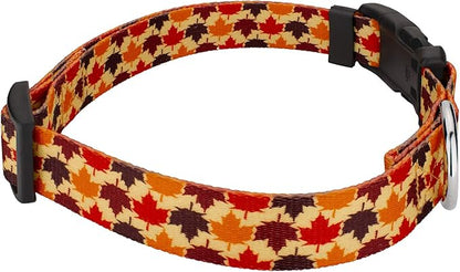 Country Brook Petz - Nature Walk Everyday Dog Collar and Leash Limited Edition - Awesome Autumn Collection Featuring Designs You Will Fall for (1/2 Inch, 2XS)