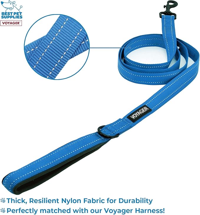 Voyager Dog Harness Dual Leash Attachment No-Pull Control Adjustable Soft but Strong Pet Harness for Medium and Large Dogs with 3M Reflective Technology, Leash Set Royal Nylon, XS (Chest: 13-16")