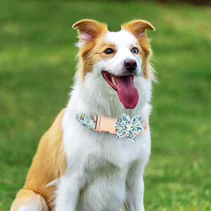 Dog Collar and Leash Set Adjustable Girls Puppy Floral Collars with Bow Tie for Small Medium Large Dogs(XS, Rocket)