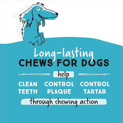 Ultra Chewy Double Treat Bones: Long-Lasting Dog Treats Made in USA for Large and Small Breeds, Highly Digestible, Ideal for Aggressive Chewers (Bacon & Cheese, 2 Value Packs)