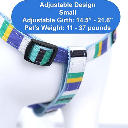 Pawtitas Multicolor Step-in Dog Harness – Adjustable No-Pull Vest for Puppies to Seniors, Safe & Comfortable S Blue/Teal/Yellow