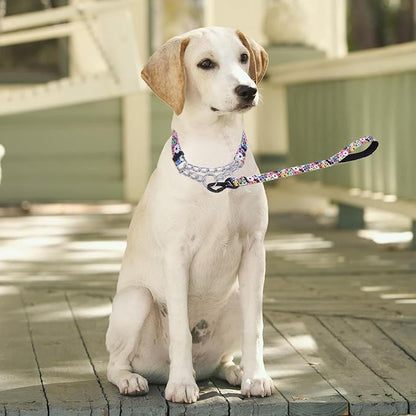 Martingale Dog Collar and Leash Set, Stainless Steel Chain, No Pull Training Collar with Flower Design, for Small, Medium, Large Dogs (NO23, S)