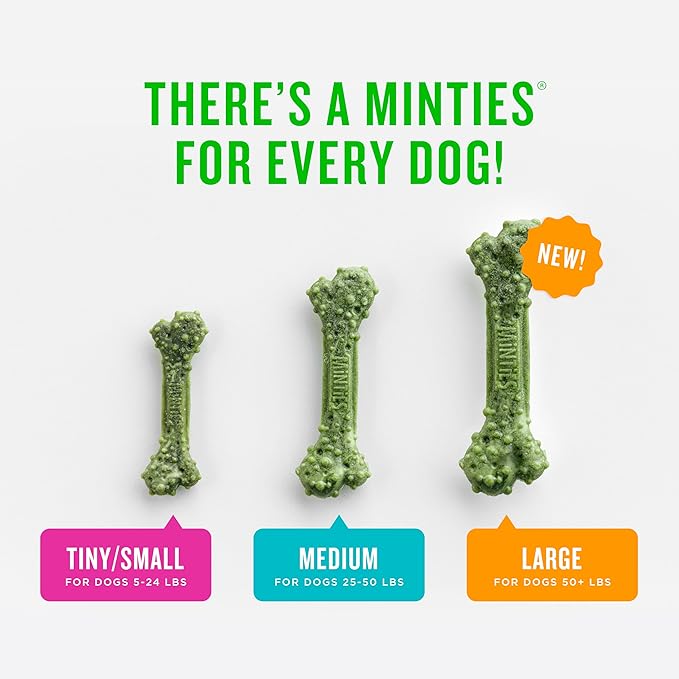 Minties Dental Chews for Dogs, 20 Count, Vet-Recommended Mint-Flavored Dental Dog Treats for Medium Sizes 25-50 lbs, Bones Clean Teeth, Fight Bad Breath, and Removes Plaque and Tartar