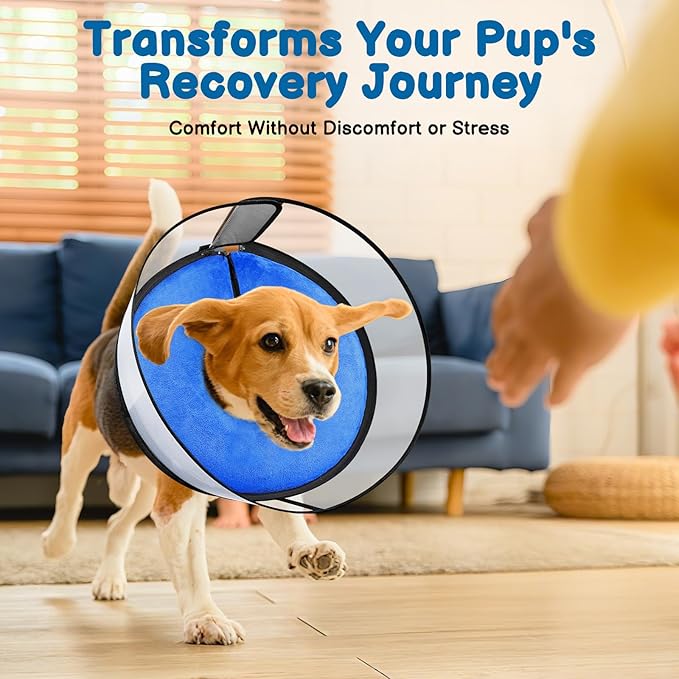 BARKLESS Dog Donut Collar, 2-in-1 Inflatable Dog Collars for After Surgery to Stop Licking Wounds, Patented Protective Donut Cone with High Shield for Small and Medium Pets (Blue, M+)