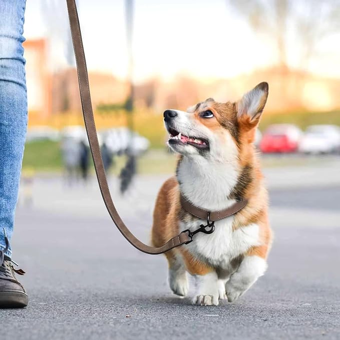 Didog Soft Padded Leather Dog Collar and Leash Set, Adjustable Dog Leash and Collar Set with Metal Buckle, Breathable Dog Collars with 4FT PU Leather Dog Leash for Small MediumDogs, Brown, M
