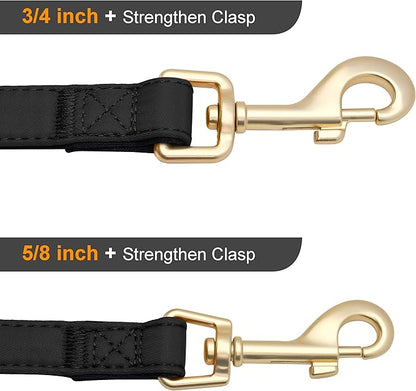 Didog Colorful Soft Padded Nylon Dog Collar & 5FT Dog Leash Set for Medium Dogs