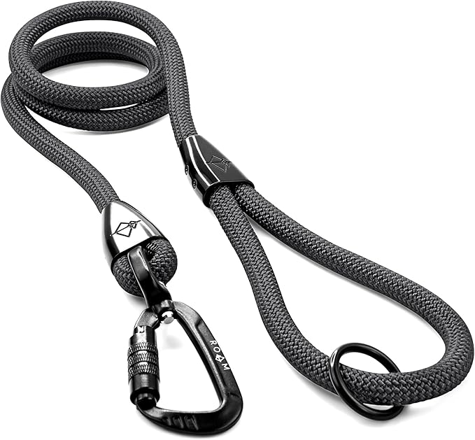 MADE TO ROAM Premium Explorer Leash - Climbing Rope Leash with Autolocking Aviation Aluminum Carabiner - New York Afterlight, 6ft