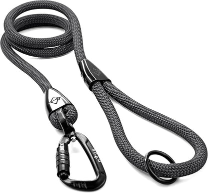 MADE TO ROAM Premium Explorer Leash - Climbing Rope Leash with Autolocking Aviation Aluminum Carabiner - New York Afterlight, 4ft