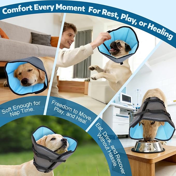 Soft Dog Cone Collar After Surgery: Long Alternative Comfortable Comfy Fabric Recovery Shame Elizabethan Stop Licking Small Medium Large Dogs (Blue, L)