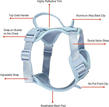 Petmolico Dog Harness for Small Dogs, Cute Harness Vest with Two Leash Clips and Soft Handle, Reflective Easy Walk Puppy Vest - Light Blue, Small