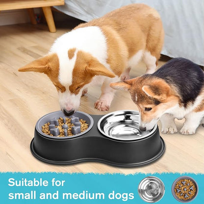 Epetslove Dog Bowls Double Dog Water and Food Bowls Stainless Steel Bowls with Non-Slip Resin Station, Pet Feeder Bowls for Puppy Medium Dogs Cats