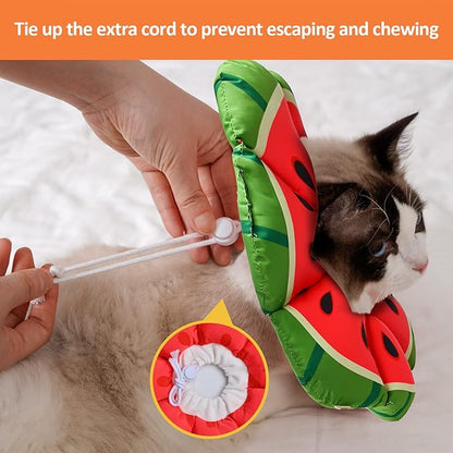 Avont Cat Cone Collar Soft, Adjustable Recovery E Collar Alternative for Cats Kittens Puppies, Elizabethan Neck Cone of Shame to Prevent Licking Biting After Surgery Protect Wounds -Melon(M)