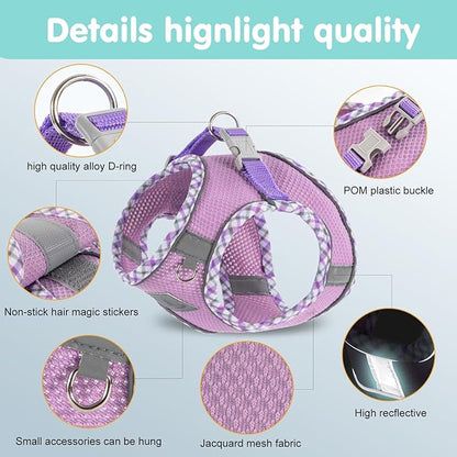 Dog Harness & Leash Set - No Pull Soft Breathable Small Dog Harness, Adjustable Reflective Step-in Vest for Puppy, Kitten, Cats