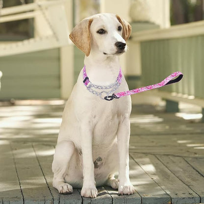 Martingale Dog Collar with Stainless Steel Chain - Limited Chain Cinch Training Collar for No Pull Training Dog - Flower Multicolor Cute Patterns - Premium No Slip Collar (M, Pink Set)