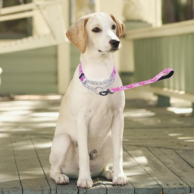 Martingale Dog Collar with Stainless Steel Chain - Limited Chain Cinch Training Collar for No Pull Training Dog - Flower Multicolor Cute Patterns - Premium No Slip Collar (XL, Pink)