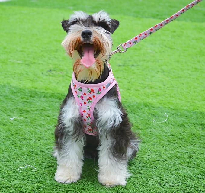 Moonpet Step in Valentine's Day Dog Harness Leash Set- All Weather Reflective No-Pull Floral Pattern Padded Mesh Vest Harness for Cats Puppy Extra-Small Small Medium Large Dogs - Heart Rose - S