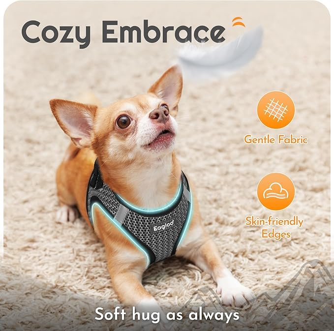 Eagloo Small Dog Harness and Leash Set, Step in Puppy Vest with Breathable Soft Mesh, Walking Reflective Pet Harness for Small Dogs, Gray, XS