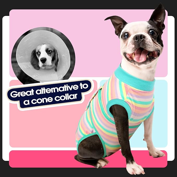 FUAMEY Recovery Suit for Dogs After Surgery,Soft Breathable Dog Bodysuit E-Collar & Cone Alternative Surgical Suit,Male Female Dog Neuter Spay Suits Anti Licking Wounds Onesie Mint Green Stripes XS