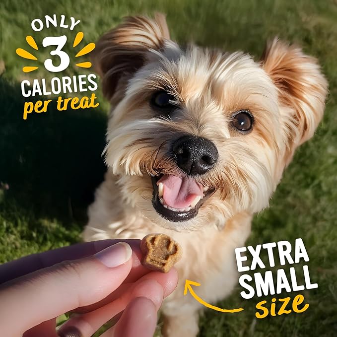 Blue Dog Bakery Perfect Trainers, Mini Dog Training Treats, Soft & Chewy, Made w/USA Beef, Healthy Treats, All Natural, Extra Small, 6 oz (Pack of 1)