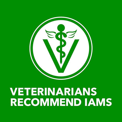 IAMS Proactive Health Wet Dog Food, Adult Wet Dog Food Multipack Ground Dinner, with Lamb & Rice Pate, 13 oz. (Pack of 6)