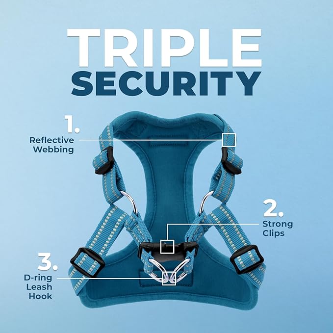 Best Pet Supplies Voyager Adjustable Step-in Flex Breathable Mesh Dog Harness for Small Medium Large Dogs (Turquoise), S