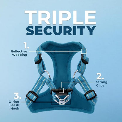 Best Pet Supplies Voyager Adjustable Step-in Flex Breathable Mesh Dog Harness for Small Medium Large Dogs (Turquoise), XL