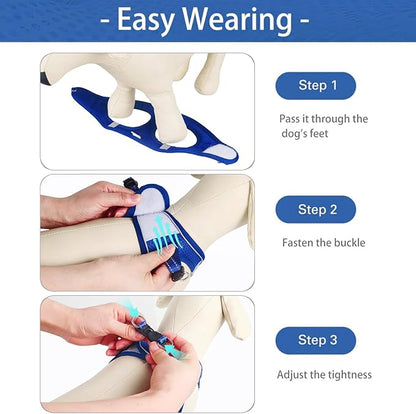 Dog Harness for Small Dogs and Leash Set, Honeycomb Grid, Reflective Lightweight Harness & Anti-Twist Pet Lead (Multi Color, Size: XS-S-M) (S, Sapphire Blue)