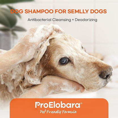 Medicated Dog Shampoo for Allergies and Itching: Antifungal Dog Shampoo, Yeast Infection and Bacterial Treatment for Dogs - Helps Hot Spots, Deodorizing and Anti Itch - Healthy Skin & Coat (Pack of 2