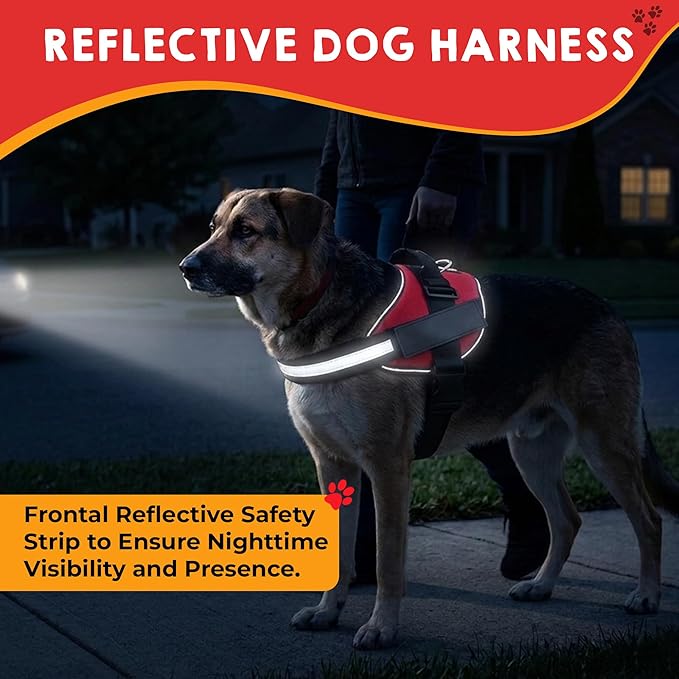Service Dog Vest + ID Tag 50 ADA Information Cards - Harness w Patch in Sizes X Small to XX Large, Metal has Durable Clip, Animal Cards. ESA Accessory Set